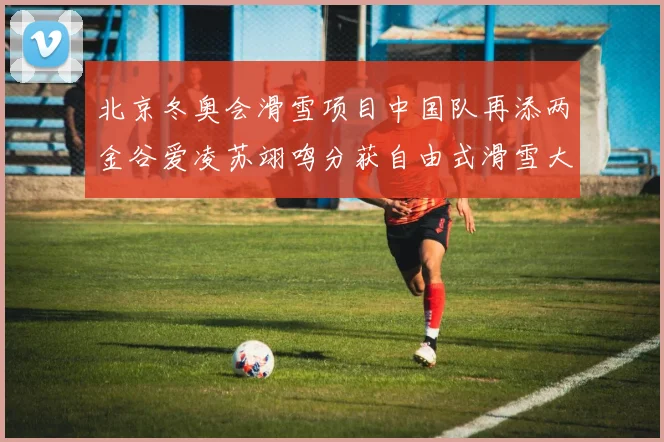 北京冬奥会滑雪项目中国队再添两金谷爱凌苏翊鸣分获自由式滑雪大跳台冠军