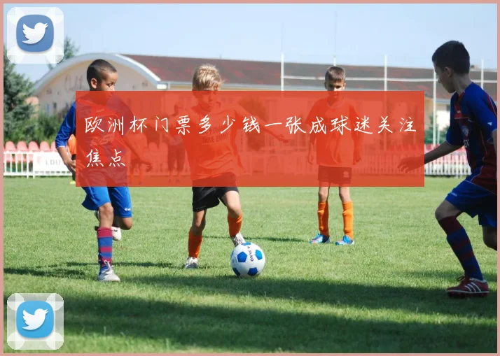 欧洲杯门票多少钱一张成球迷关注焦点