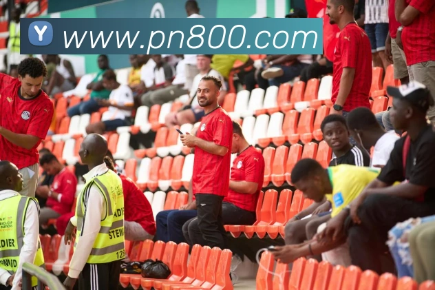 多媒体互动体验